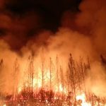The_Rim_Fire_in_the_Stanislaus_National_Forest_near_in_California_began_on_Aug._17,_2013-0004