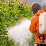 UOH-estudiará-presencia-de-pesticidas-en-alimentos-consumidos-en-liceos-1024x538